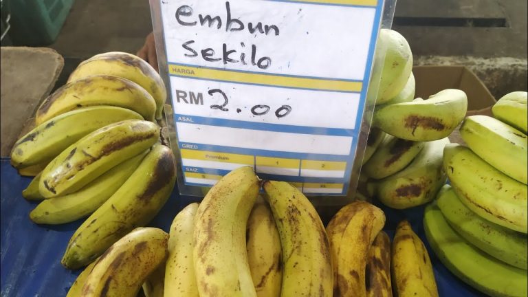 Cara mudah guna pisang buat umpan!!
