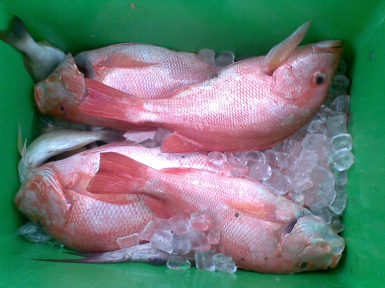 Melawat Lubuk Merah Kelanang