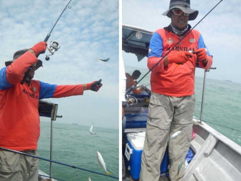 Panduan melayan ikan apollo!!
