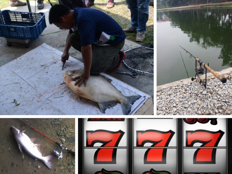 WACANA: Pengertian dan hukum jackpot ikan terbesar!