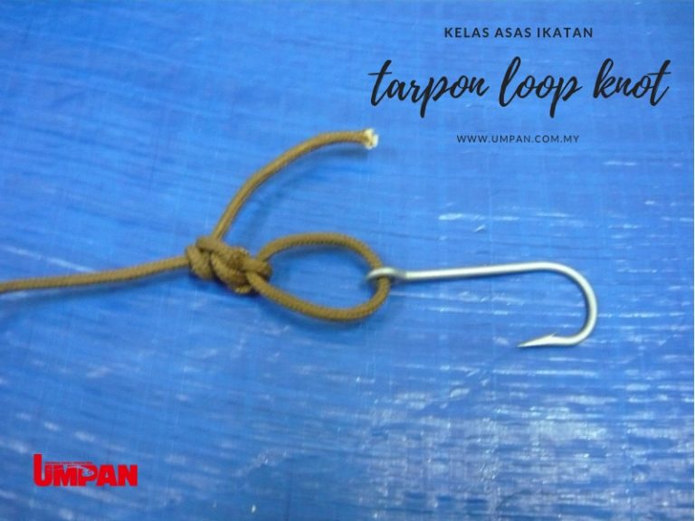 (NEW) Kelas Asas Memancing – Tarpon Loop Knot!!