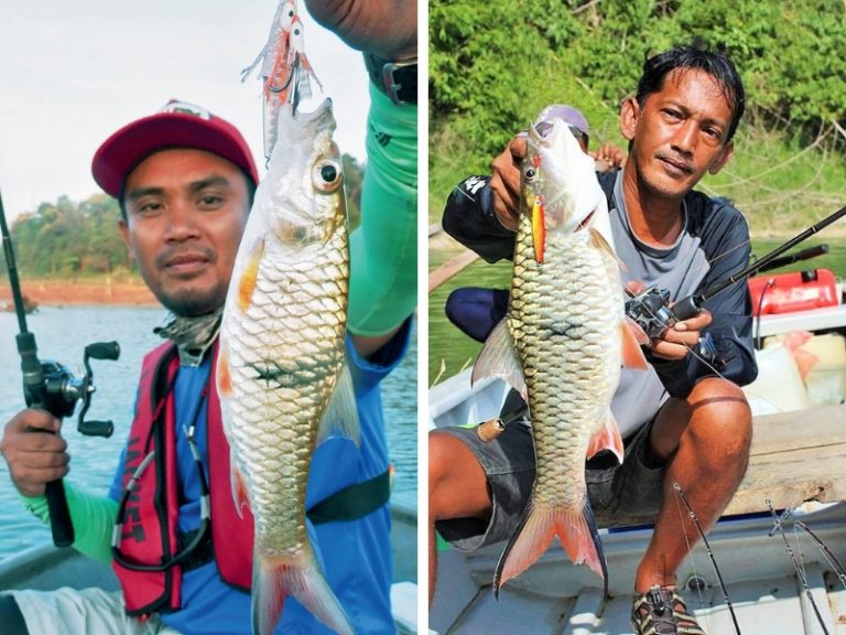 Korang Tanya Umpan Jawab -S19S04- Sebarau on jig?