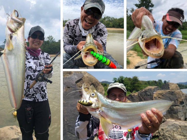 Mancing Tebing Musim Panas!!