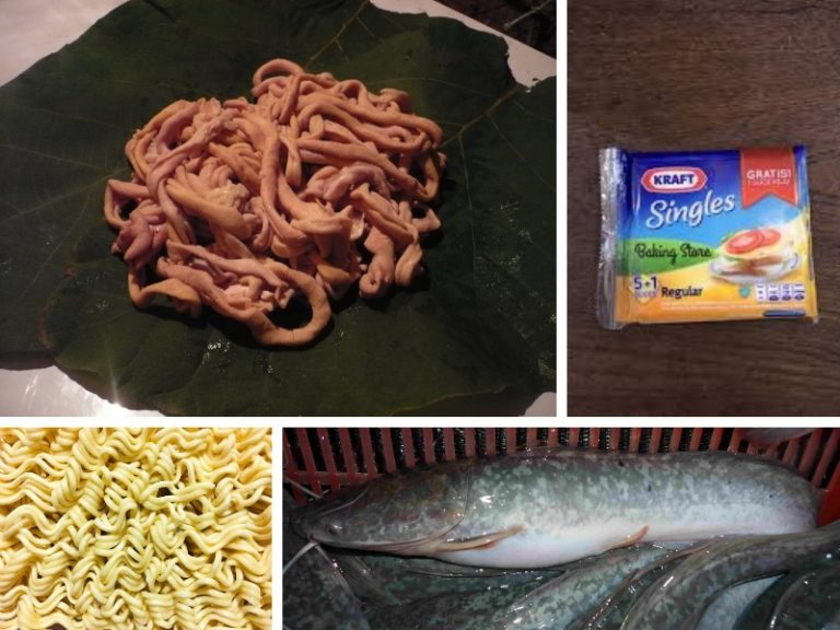 Umpan ikan keli gaya moden!!
