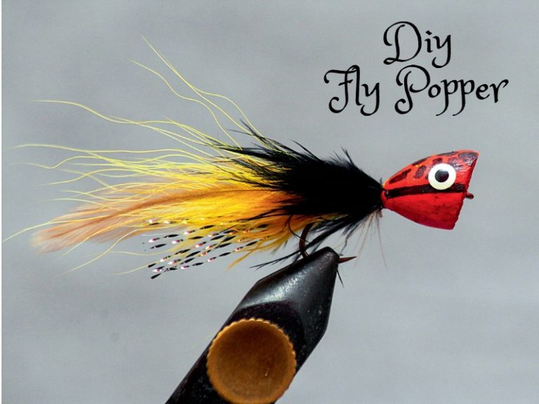 DIY Popper Fly SBS