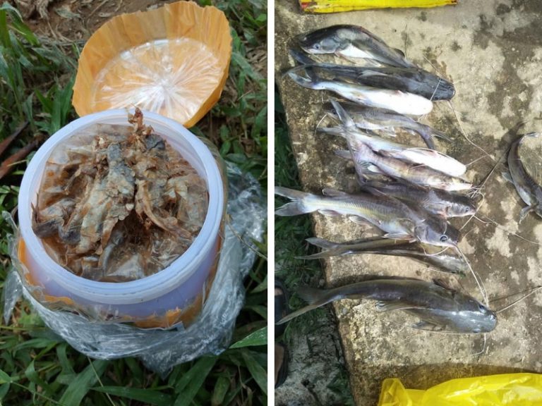 Korang Tanya Umpan Jawab -S10S14- Orang Kemboja makan umpan tapa?
