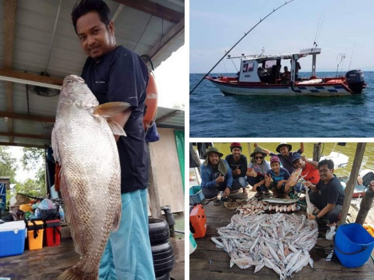 Produk & Servis: Nikskiper, tekong padu candat sotong