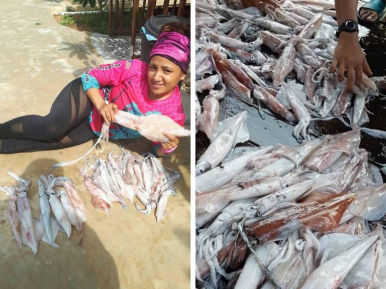 Konsep pembahagian hasil mencandat sotong!!