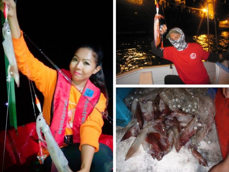 Kenali 3 spesies sotong yang biasa dicandat