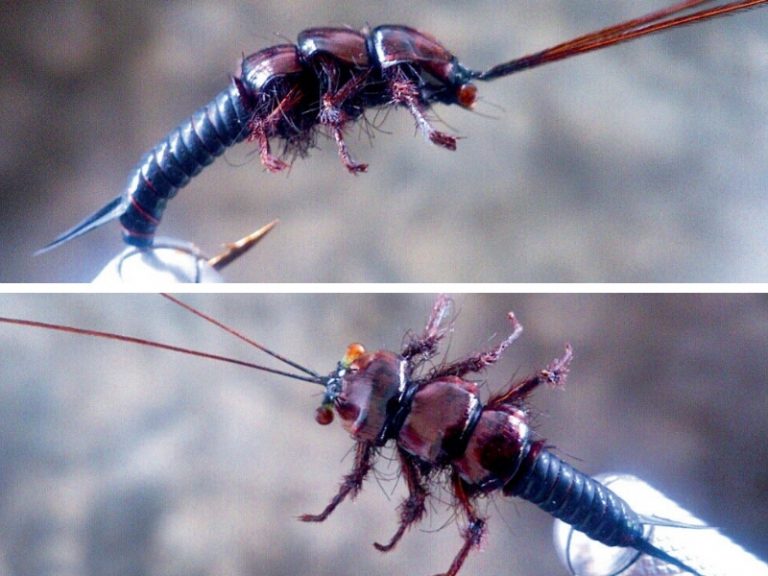 DIY Stonefly ‘Plekoptera’!!
