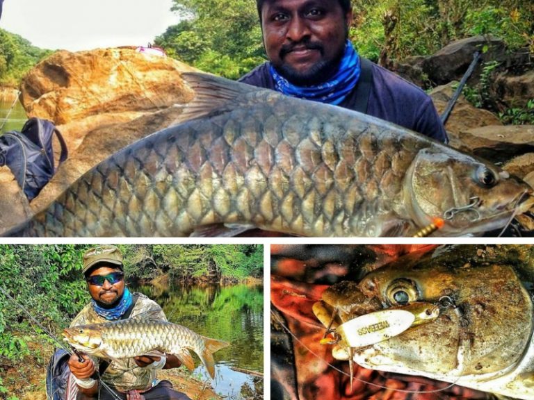 Trip Retro: Kembara Solo Blue Mahseer