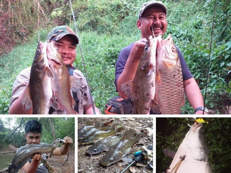 Penghuni reba Sungai Jengka!!