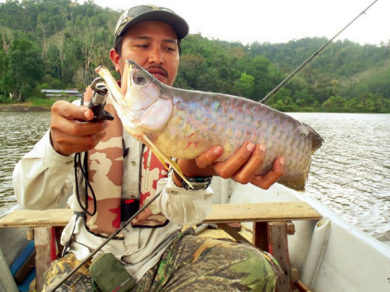 Trip retro – Predator Tasik Bukit Merah