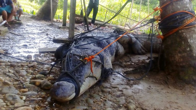 Adab & Pantang Larang Memancing Udang Galah cpy