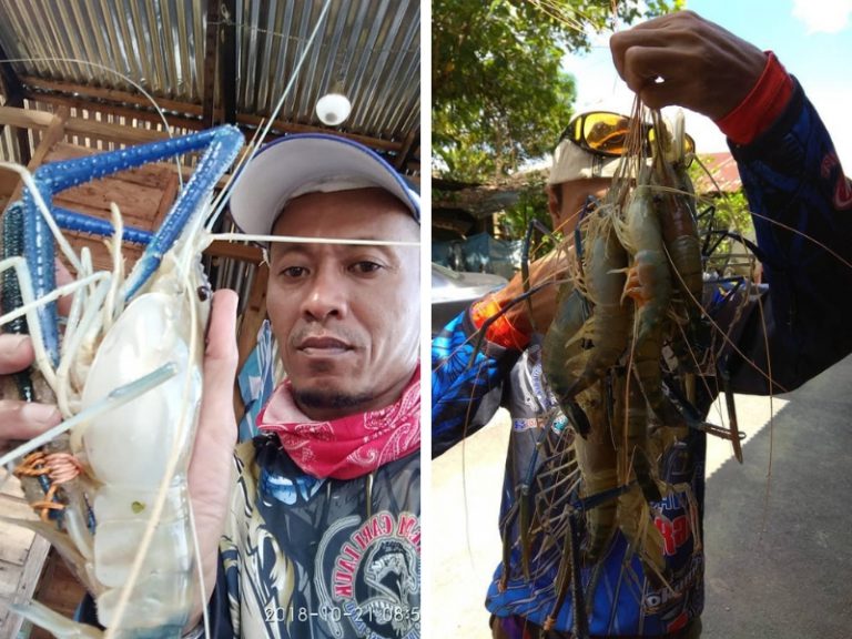 Pakwan, Masta Jenggo Batu 8