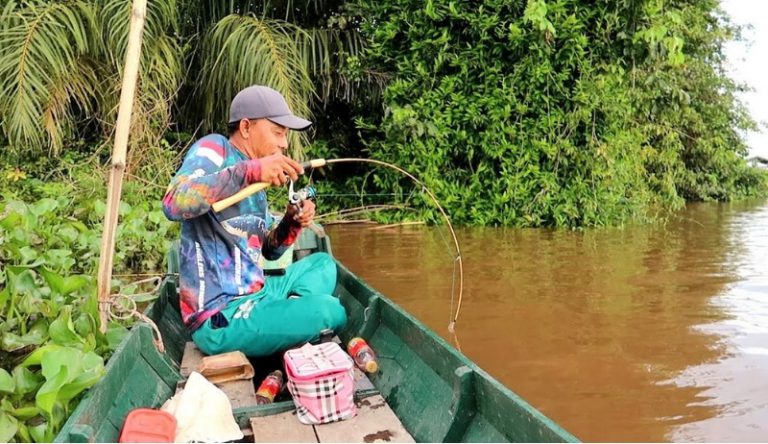 Panduan penting memancing udang galah!!
