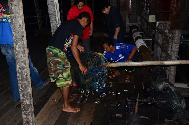 Pedoman memancing kelong – part 3!!