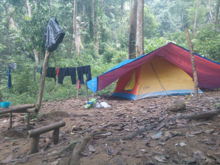 Tip Trekking Dan Camping Dalam Hutan!!