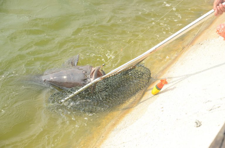 Korang Tanya Umpan Jawab -S10S26- Tip mancing kolam air masin??