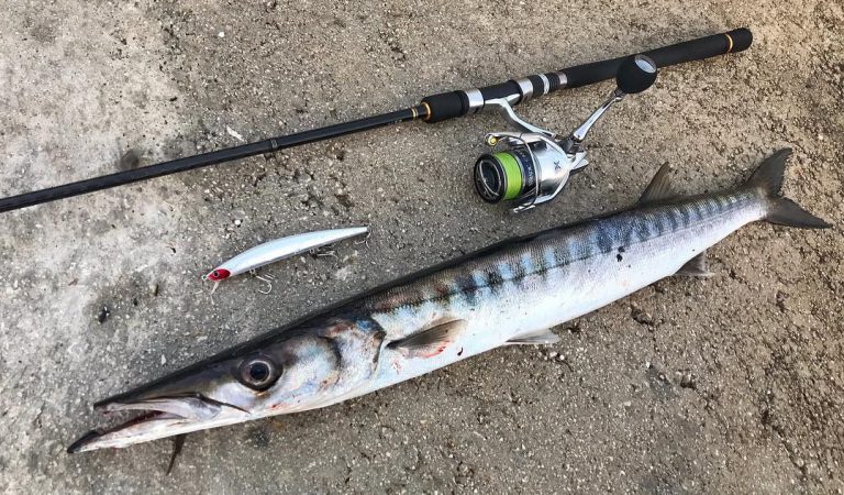 Trip Retro – Getaran Trolling Barracuda
