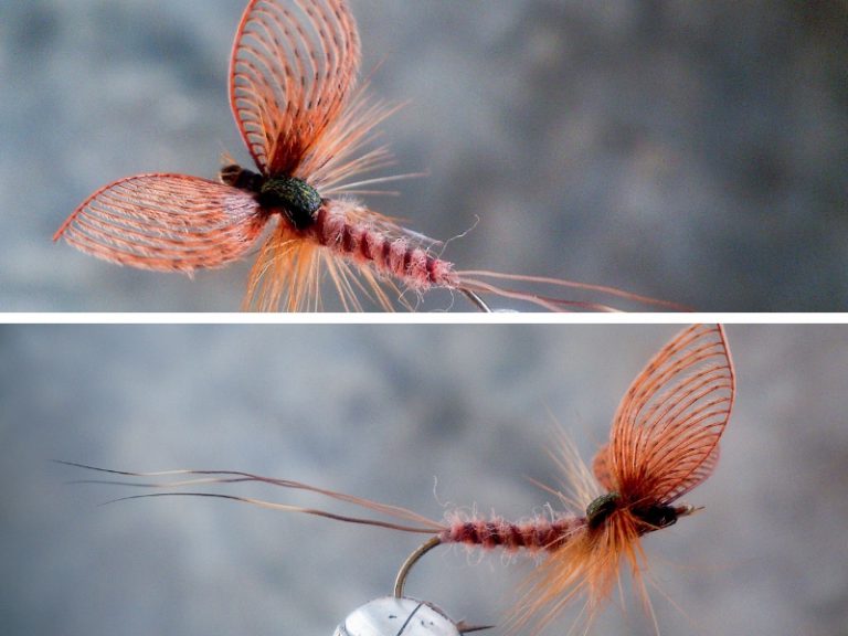 DIY – May fly with wally wing
