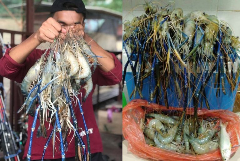 Tip & Trik Menjenggo Sungai Temerloh