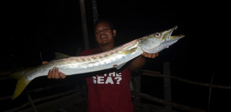 Tip, Trik & Teknik Mancing Alu-Alu!!