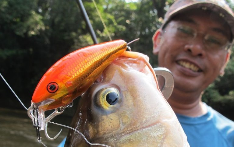 Tip menggewang & gewang paling laku di Berau!!