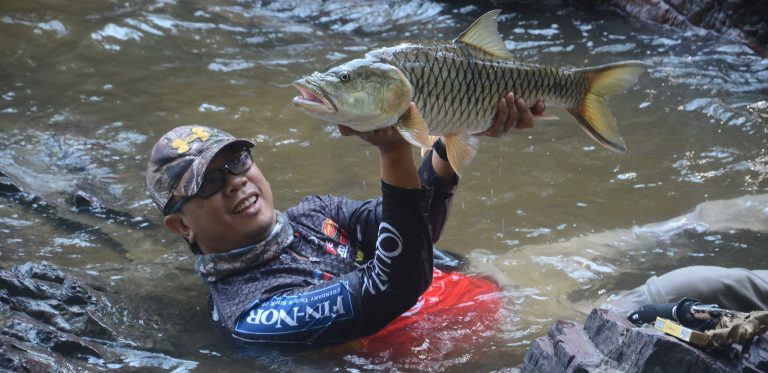Info spesies: Mengenali sebarau lebih mendalam!!