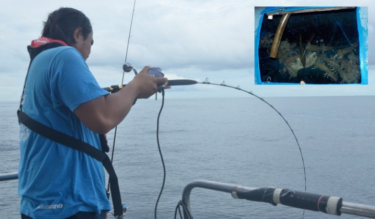 Trip retro – Pelahap udang lipan Pulau Jarak