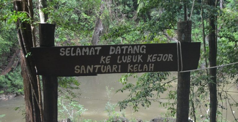 Santuari Kelah Sungai Petang – Hentian Terakhir Ikan Kelah