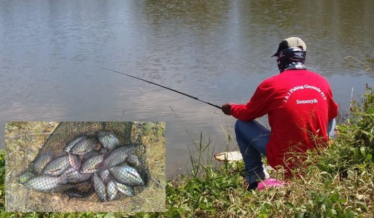 Tip & Trik Memancing Ikan Sepat!!