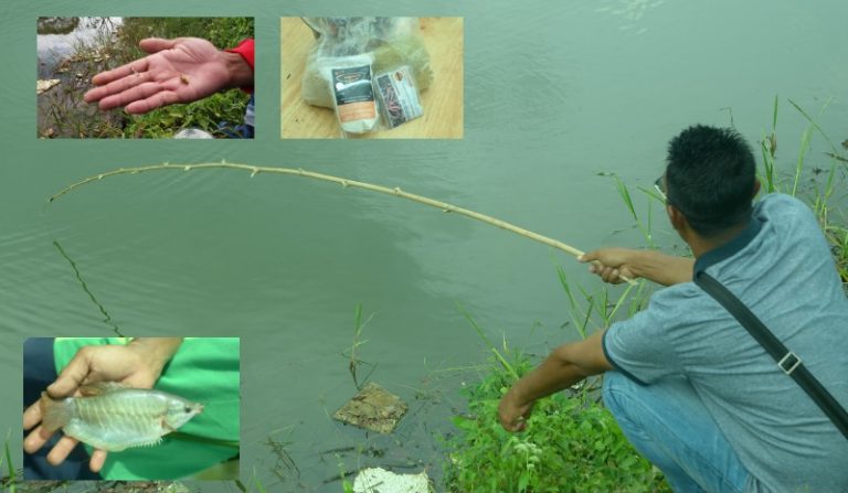 Tip & Trik Peralatan Mancing Sepat!!
