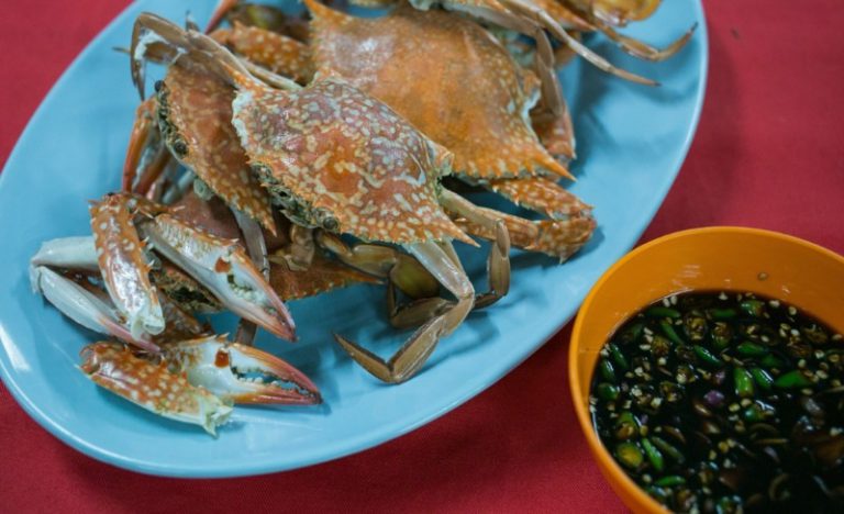 Khasiat ketam bukan sekadar penawar demam denggi!!