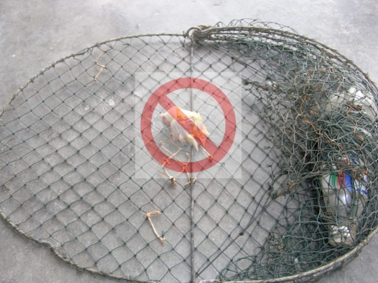Sentap – Cerita disebalik pantang larang memancing!!