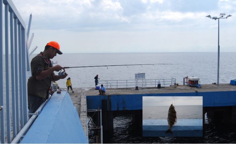 Rahsia memancing ikan dengkis!!