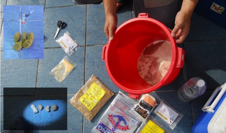 Dedak gentel – umpan terbaik pancing dengkis