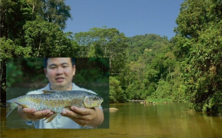 Trip Retro – Jejak kelah merah lubuk Sira Dinding