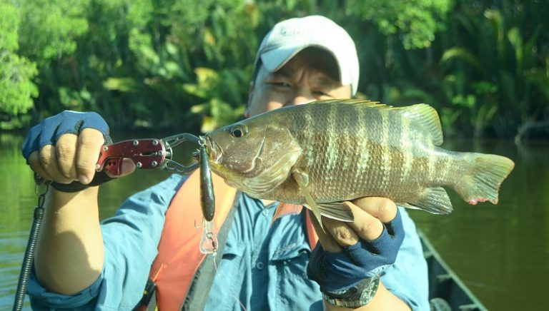 Teknik & Info Pancingan Ikan Kanai!!