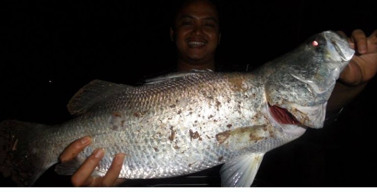 Petua & Pantang Larang Otai Siakap!!