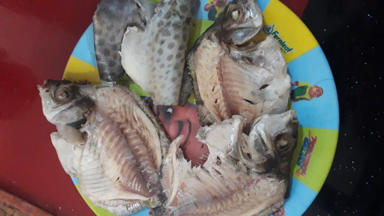 Khasiat Terbaik Ikan Kitang!!