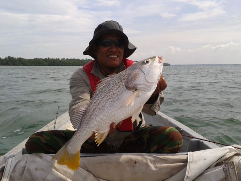 Info Spesies : Kenali Ikan Tebal Pipi