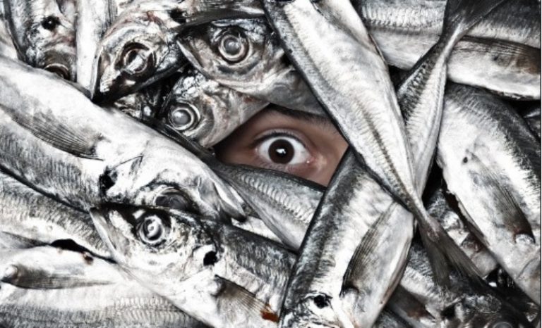 Umpanpedia: Penyakit Takut Pada Ikan!