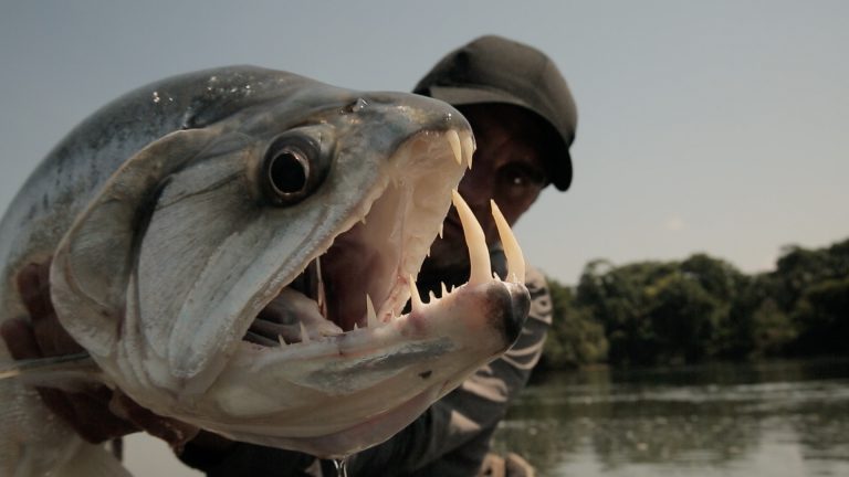10 Jenis Ikan Yang Menakutkan!!