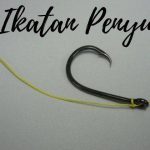 penyu1