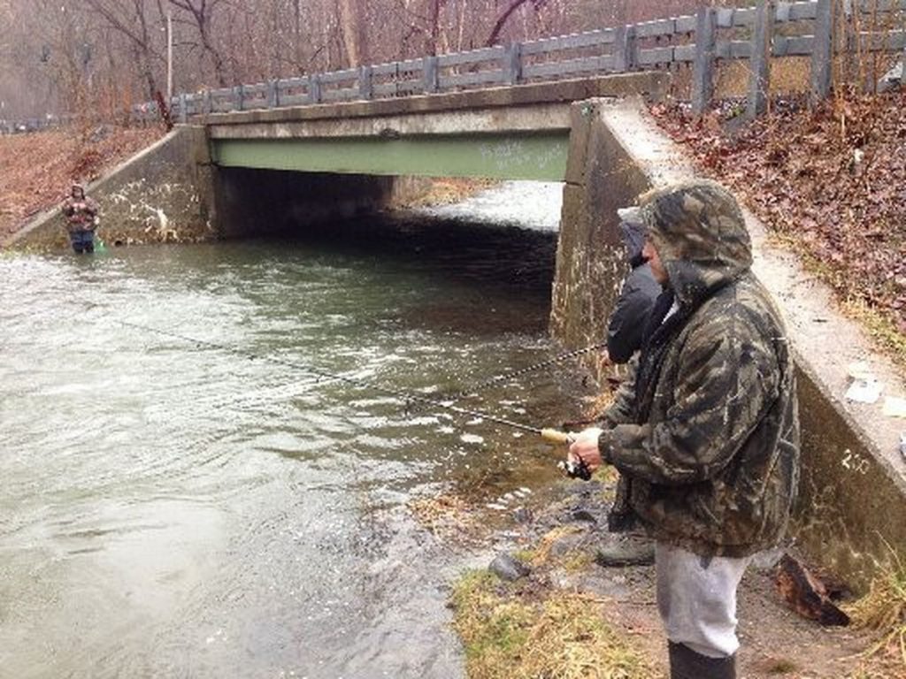 Ubat Luka Di Tekak - Contoh Top