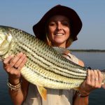 tigerfish