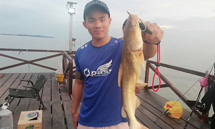 Panduan Mudah Memancing Ikan Seludu - Umpan