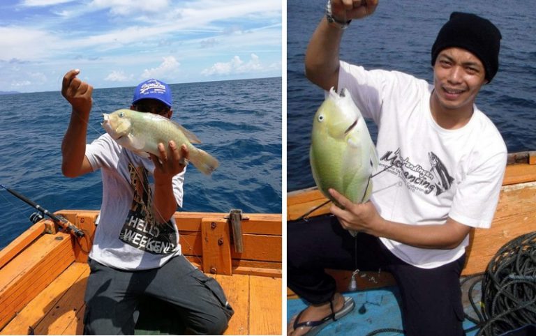 Cara Terbaik Untuk Strike Ikan Bayan!!