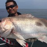 ikan